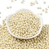 6/0 Glass Seed Beads X1-SEED-L011-08A-16-2