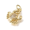 Brass Micro Pave Clear Cubic Zirconia Charms KK-E802-05G-2