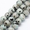 Natural Sesame Jasper/Kiwi Jasper Beads Strands G-I199-29-8mm-1