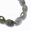 Natural Labradorite Beads Strands G-F632-16A-2