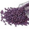 TOHO Round Seed Beads X-SEED-TR08-0625F-1