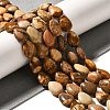 Natural Picture Jasper Beads Strands G-I377-A17-1