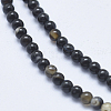 Natural Agate Beads Strands X-G-K238-01B-3