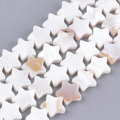 Freshwater Shell Beads Strands SHEL-Q021-07-1