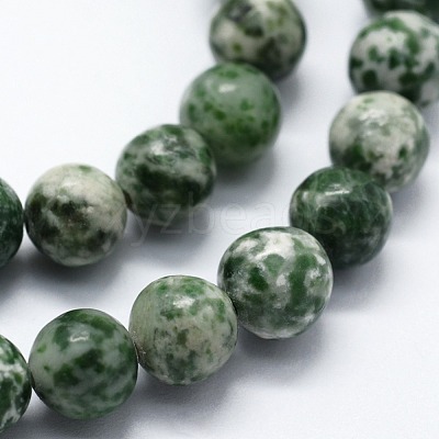Natural Green Spot Jasper Beads Strands X-G-I199-30-10mm-1
