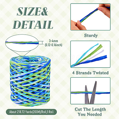 Raffia Ribbon OCOR-TA0004-21C-1