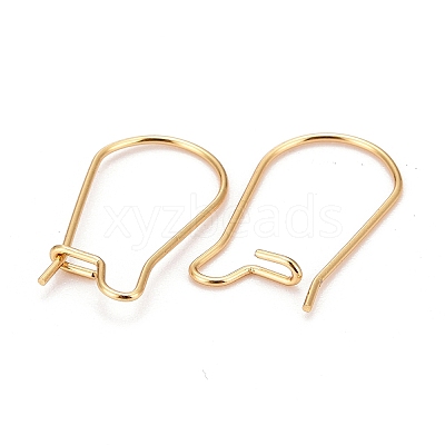 316 Surgical Stainless Steel Hoop Earring Findings X-STAS-A056-12G-C-1