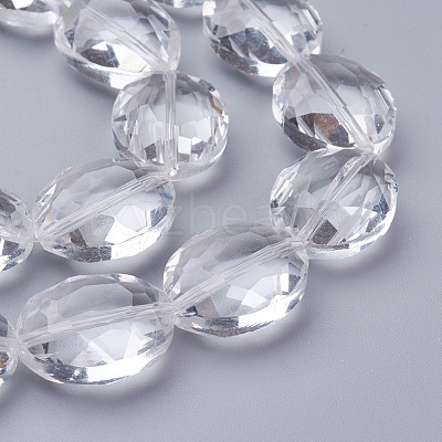 Glass Bead Strands GLAA-S003-20x11mm-14-1