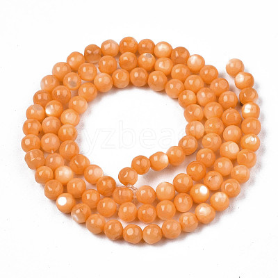 Natural Freshwater Shell Beads Strands SHEL-N003-24-B07-1