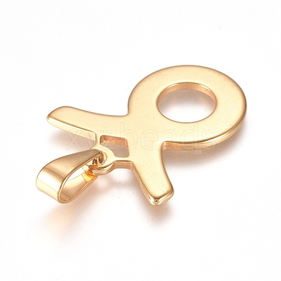 304 Stainless Steel Pendants STAS-L210-06F-G-1