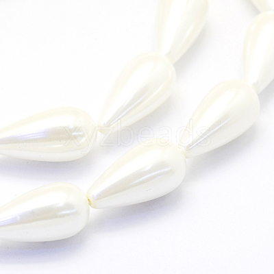 Shell Pearl Beads Strands BSHE-P024-06-1