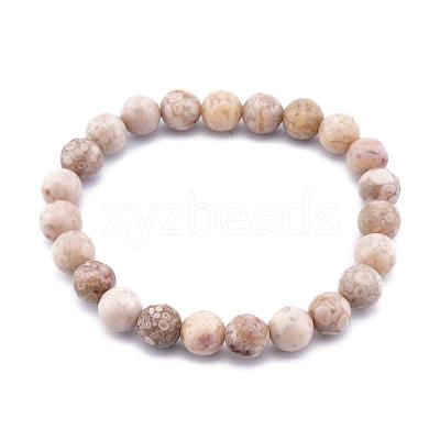 Natural Maifanite/Maifan Stone Bead Stretch Bracelets BJEW-K212-C-044-1