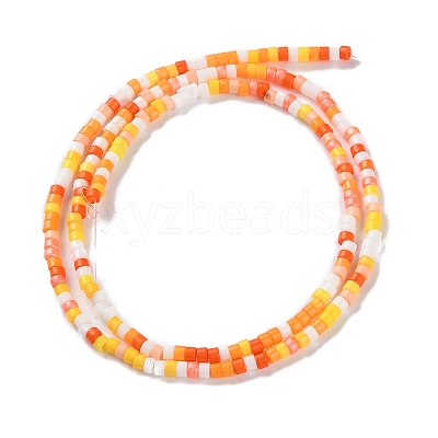Handmade Lampwork Beads Strands LAMP-L078-008B-1