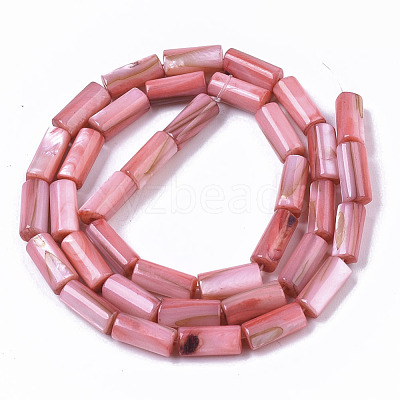 Natural Freshwater Shell Beads X-SHEL-R047-01D-1