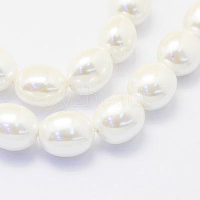 Shell Pearl Beads Strands BSHE-P024-15-1
