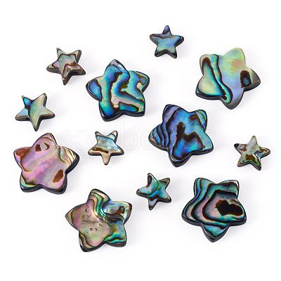 12Pcs 2 Styles Natural Abalone Shell/Paua Shell Beads SHEL-TA0001-40-1