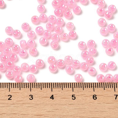 Glass Seed Beads SEED-H002-H-1309-1