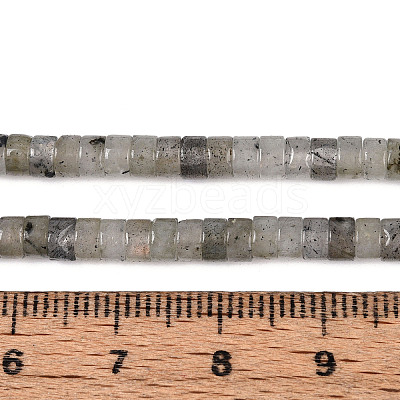 Natural Labradorite Beads Strands G-F631-A38-1