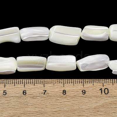 Natural Trochid Shell/Trochus Shell Beads Strands SH-CBA2978-20A-1
