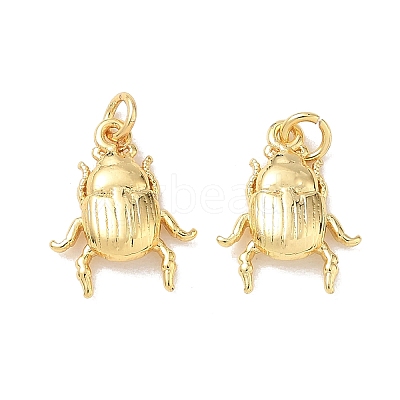 Insect Brass Charms KK-E797-06G-1