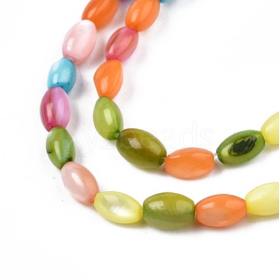 Freshwater Shell Beads Strands SHEL-T009-B15-06-1