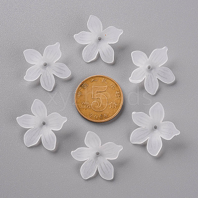 Frosted Acrylic Bead Caps LS-X-MACR-S371-05A-701-1