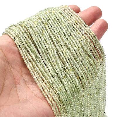 Natural Prehnite Beads Strands G-RM2025-34-2.5mm-1