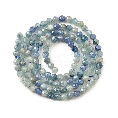 Natural Kyanite/Cyanite/Disthene Beads Strands G-G259-D04-3mm-1