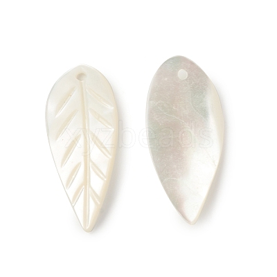 Natural Sea Shell Pendants SSHEL-T012-12-1