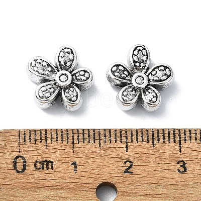 Tibetan Style Alloy Beads LS-X-TIBEB-F065-01AS-01-1