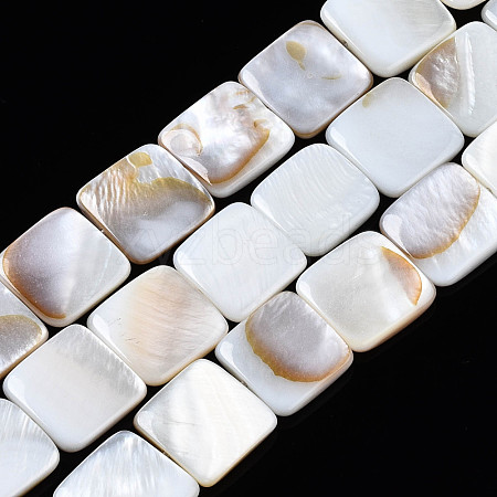 Natural Freshwater Shell Beads Strands SHEL-Q024-014-1