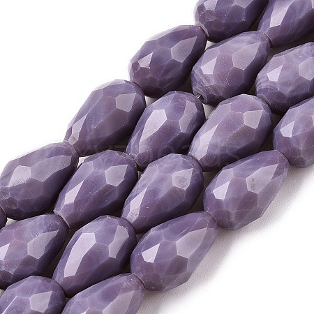 Opaque Solid Color Beads Strands X-EGLA-N013-P10mm-D09-1