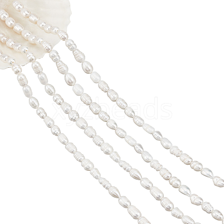  2 Strands Grade B Natural Cultured Freshwater Pearl Beads Strands PEAR-NB0001-26-1