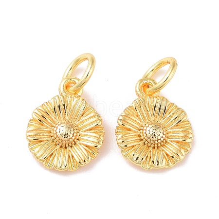 Brass Charms KK-G418-28G-1
