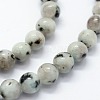 Natural Sesame Jasper/Kiwi Jasper Beads Strands G-I199-29-6mm-3