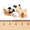 Handmade Lampwork Home Decorations LAMP-K039-18-3