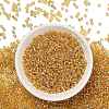 TOHO 8/0 Round Beads X-SEED-TR08-0022A-2