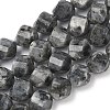 Natural Larvikite Beads Strands G-C267-B24-2