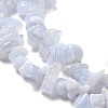 Natural Blue Lace Agate Chip Beads Strands G-E271-73-01-3