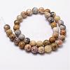 Natural Crazy Lace Agate Beads Strands G-D840-70-6mm-2
