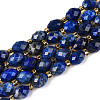 Natural Lapis Lazuli Beads Strands G-N342-53-8x6-10-2