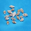 Natural Spiral Shell Beads SSHEL-S001-04-1