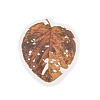 Autumn Leaf Scrapbooking Tool Kits DIY-P084-D04-3