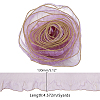 Polyester Lace Trim OCOR-WH0111-11-2