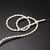 Natural Trochid Shell/Trochus Shell Beads Strands SSHEL-K008-06-2