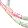 Rainbow Color Dyed Natural Freshwater Shell Beads Strands X1-SHEL-G018-02B-3
