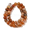 Natural Agate(Dyed & Heated) Beads Strands G-H066-B08-03-3