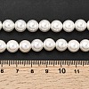 Electroplated Shell Pearl Beads Strands BSHE-K017-8mm-4