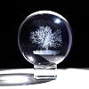 Inner Carving Glass Crystal Ball Diaplay Decoration PW-WGE79FB-02-1