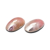 Natural Shell Cabochons SHEL-K008-07B-3